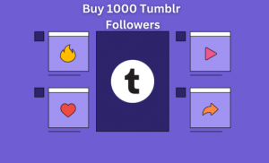 Buy 1000 Tumblr Followers Now