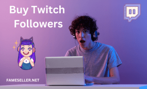 Buy Twitch Followers Service now