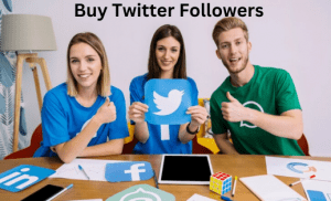 Buy Twitter Followers Now