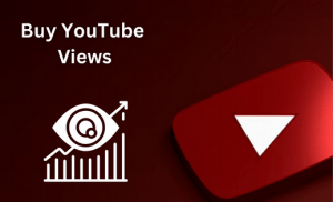 Buy YouTube Views here