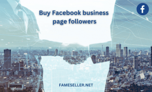 Buy Facebook business page followers