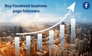 Buy Facebook business page followers Now