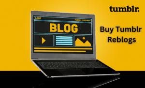 Buy Tumblr Reblogs Service