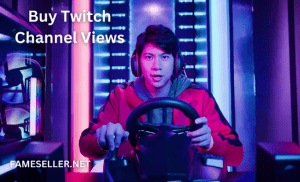 Buy Twitch Channel Views Now