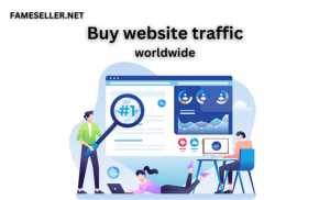 Buy website traffic worldwide Now