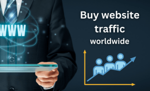 Buy website traffic worldwide Service