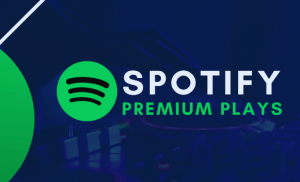 Premium Spotify Plays Service