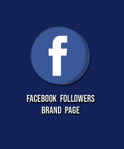 buy facebook business page followers