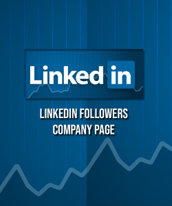 buy linkedin followers for company page