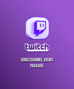buy twitch channel view