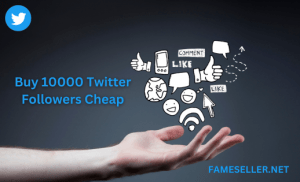 Buy 10000 Twitter Followers Cheap Now