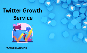 Get Twitter Growth Service