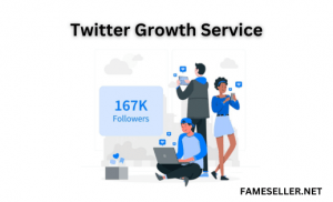 Twitter Growth Service Now