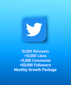 twitter growth service