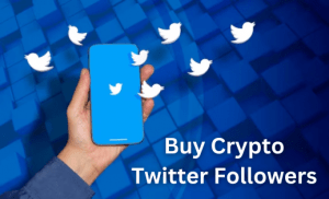 Buy Crypto Twitter Followers