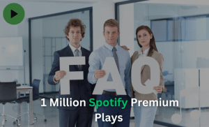 1 Million Spotify Premium Plays FAQ