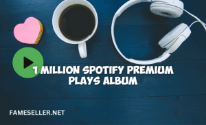 Buy 1 Million Spotify Premium Plays Album