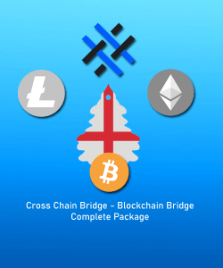 cross chain bridge developer