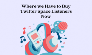Buy Twitter Space Listeners FAQ