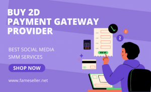 Buy 2D Payment Gateway Provider Service